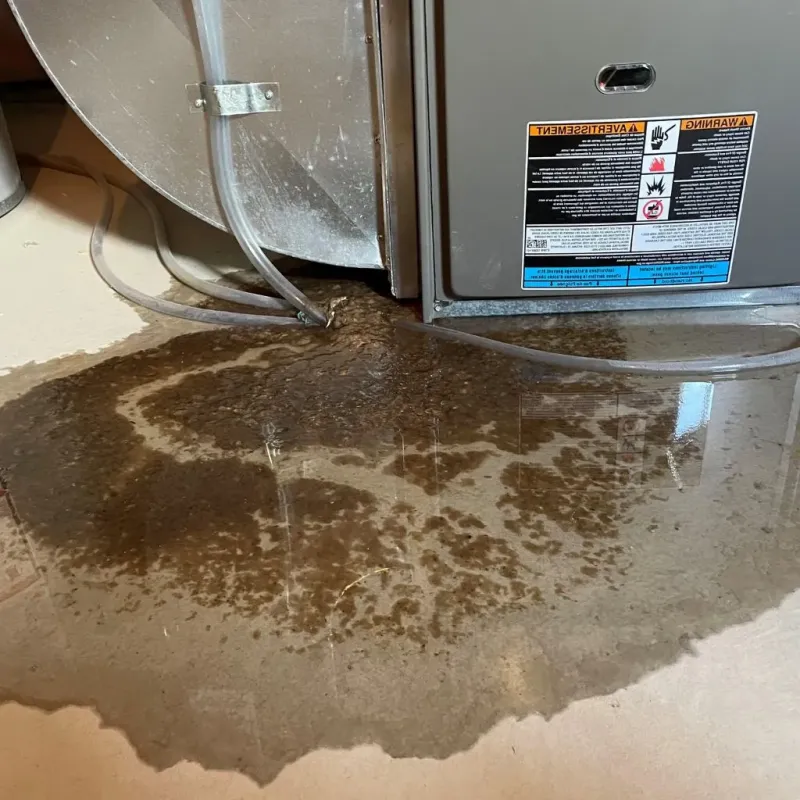 Pipe Burst and Leak Restoration in Maple Plain, MN
